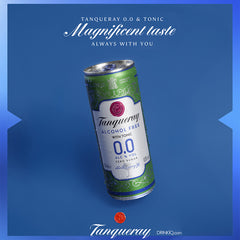 Tanqueray 0.0% Gin & Tonic Ready-to-Drink - 250ml