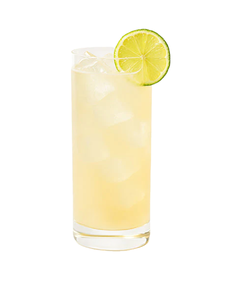 Gordon’s Fizz