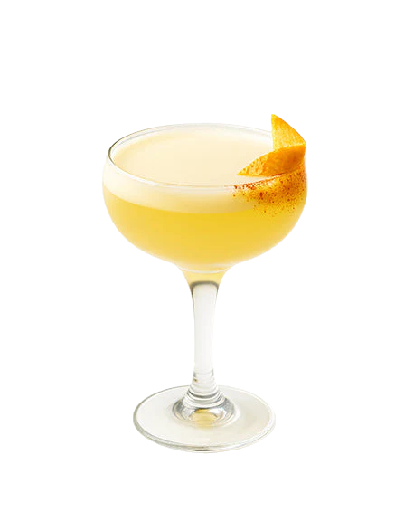 Gin Sour