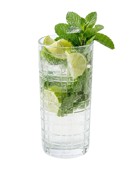 Gordon's 0.0 Mojito