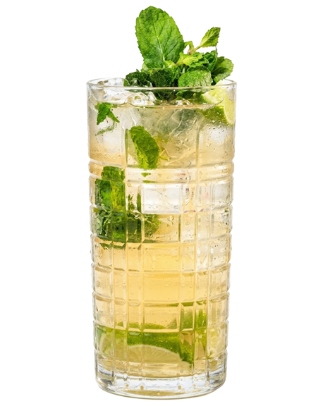 Morgan Mojito 0.0
