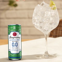 Tanqueray 0.0% Gin & Tonic Ready-to-Drink - 250ml